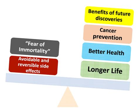 Rapamycin For Longevity Opinion Article Aging