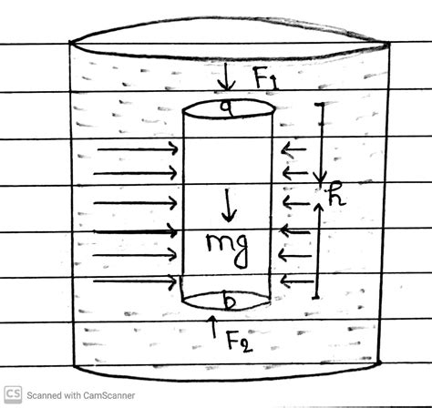 Variation Of Pressure With Depth » Maths And Physics With Pandey Sir