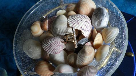 Solve Sally Sells Sea Shells Down By The Sea Shore Jigsaw Puzzle