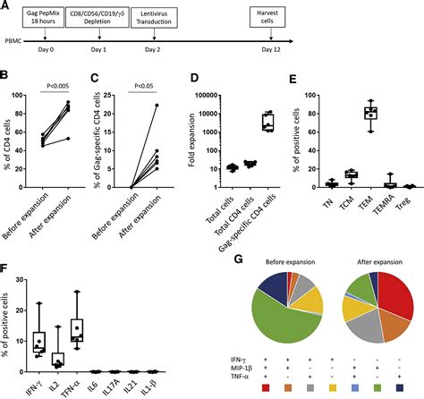 Preclinical Development And Clinical Scale Manufacturing Of Hiv Gag