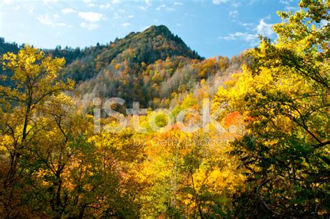 Great Smoky Mountains In Fall Colors Stock Photo | Royalty-Free ...