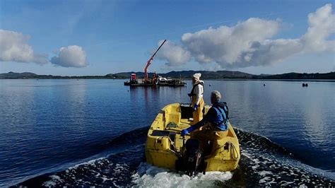 Culture dalgues une nouvelle bouée de sauvetage pour les pêcheurs