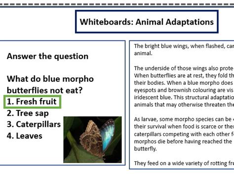 Tropical rainforest adaptations (animals, plants, humans) | Teaching ...