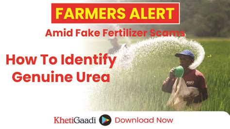 Beware Of Fake Fertilizers Tips To Spot Genuine Urea