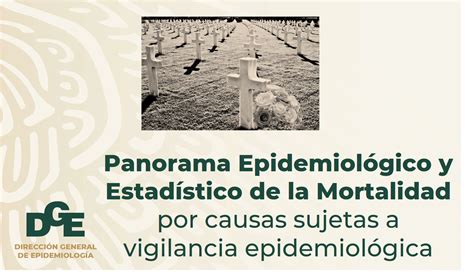 Panorama Epidemiológico Y Estadístico De La Mortalidad Por Causas