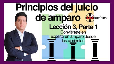 Principios Del Juicio De Amparo Lección 3 Parte 1 Experto En Amparo