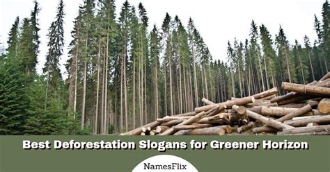 650+ Best Deforestation Slogans for Greener Horizon