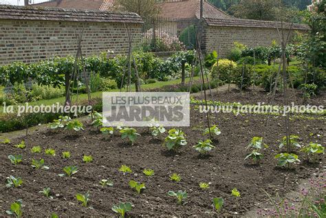 La Phototh Que Les Plus Beaux Jardins Jeune Potager Tuteur Les