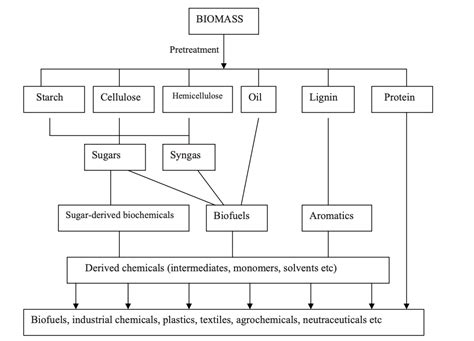 Biorefinery Concept Nguyenstarch