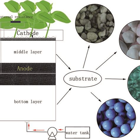 Configuration Of The Microbial Fuel Cell Coupled Constructed Wetland