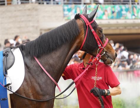 5月21日東京競馬⭐︎3歳未勝利⭐︎レジーナヌーボ 公式：黒澤ひかりのキラキラ日記～magic Kiss Lovers Only～