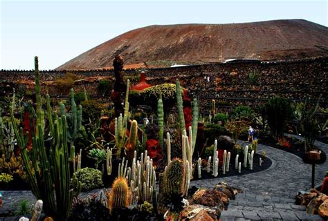 Lanzarote César Manrique y jardín de cactus desde el puerto de