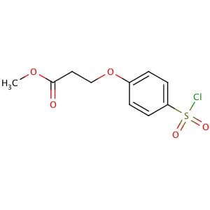 Methyl 3 4 Chlorosulfonyl Phenoxy Propanoate SCBT Santa Cruz