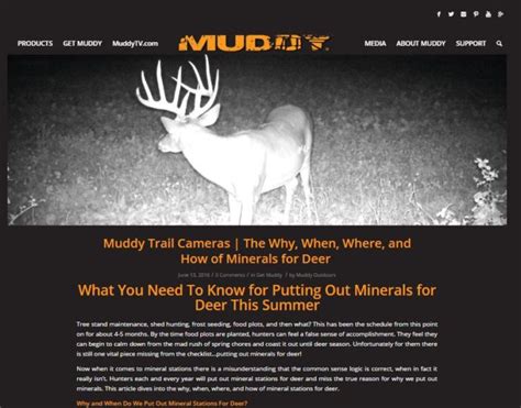 Which Camera To Buy For Filming Deer Hunts Muddy Outdoors