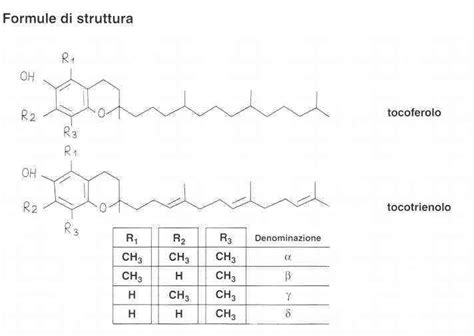 La vitamina E tocoferolo proprietà benefici e usi Farmacia Pelizzo