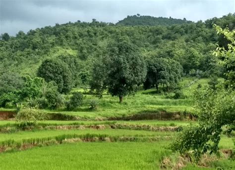 WHY WATERSHEDS MATTER 