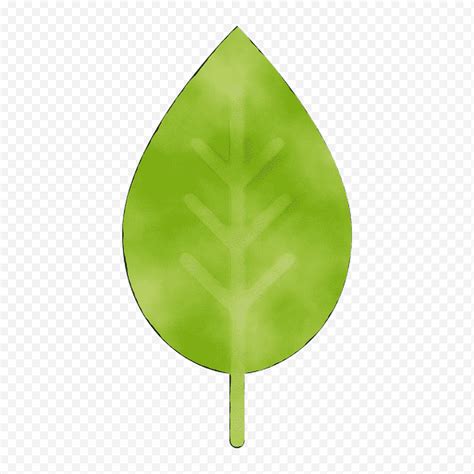 Hoja Verde Planta Rbol Anthurium Png Klipartz