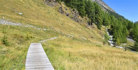 Wanderung Maloja Grevasalvas Sils Im Engadin Via Engiadina