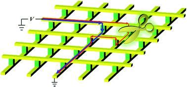 Nanoscale Advances X Mol