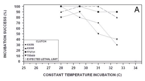 Sand Temperature Determine Turtle Sexes Turtle Temperature