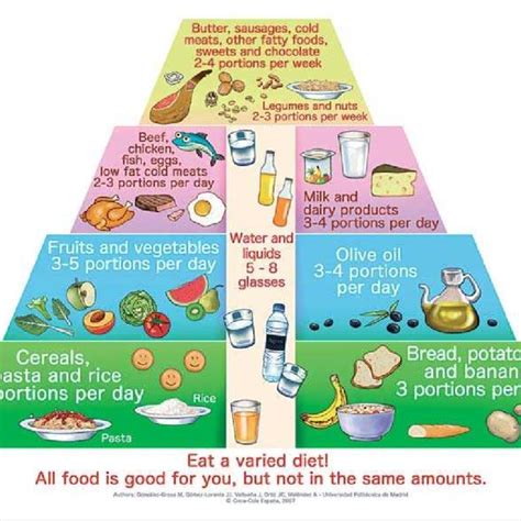 Food Pyramid For Children - Food Pyramid For 1 5 Year Old Children Park Academy - So what should ...