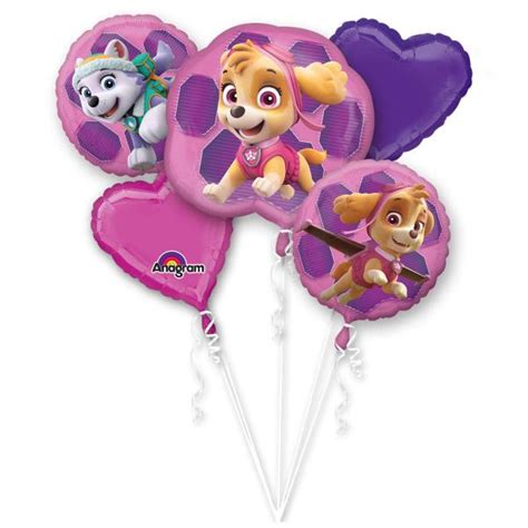 Bouquet De 5 Ballons Alu Pat Patrouille Stella Et Everest