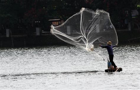 Menjala Ikan Di Situ Babakan Foto 4 727431