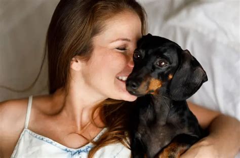 [Infographic] The Health Boosting Benefits Of Pets