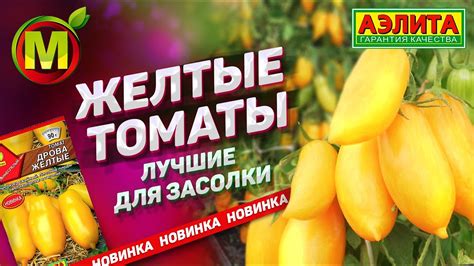 Лидер среди Урожайных Томатов ДЛЯ ЗАСОЛКИ – Томат Дрова Желтые (Новинка ...