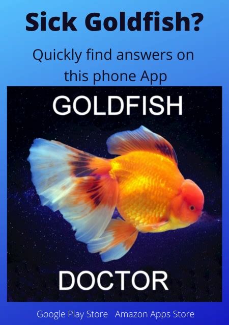 Live Food For Goldfish - Pet Food Guide