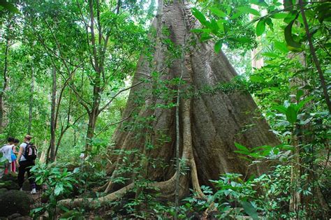 Day Trekking Nam Cat Tien National Park