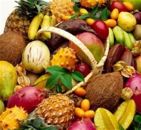 Frutti esotici - il frutteto - Coltivare frutti esotici