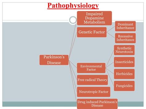 Pathophysiology Of Parkinsons Disease