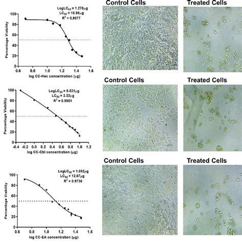 A After 72 H Percentage Viability Of Mcf 7 Cells Treated With Various Download Scientific