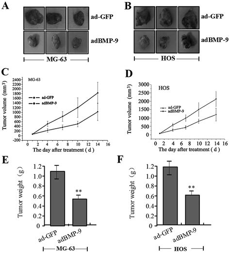 Adenovirus Mediated Overexpression Of Bmp Inhibits Human Osteosarcoma