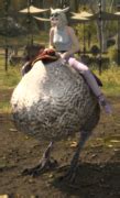 Dodo (Mount) - Gamer Escape's Final Fantasy XIV (FFXIV, FF14) wiki