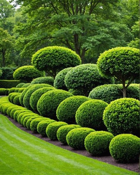 20 Lush Landscaping Ideas With Beautiful Bushes - Toolz Geek en 2024 ...