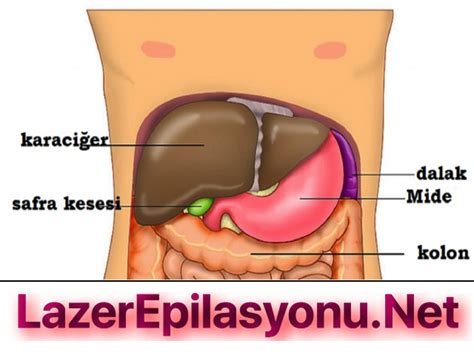 Özel Hastanede Safra Kesesi Ameliyatı Fiyatı Ne Kadar Lazer