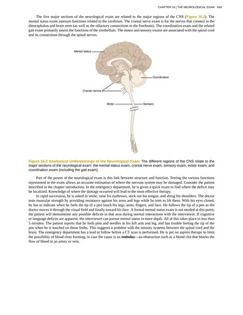 SOLUTION: Neurological exam human anatomy - Studypool
