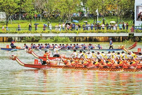 粤港澳大湾区茅洲河龙舟赛在宝安开桨 24条龙舟飞桨逐浪茅洲河 深圳新闻网