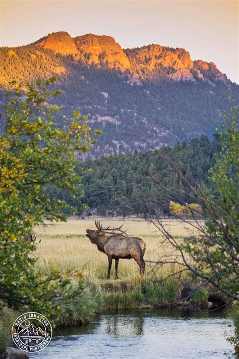 How to Include Wildlife in your Landscape Photography