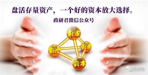 「存量资产盘活案例」盘活湖北省荆门市猎豹汽车资产重组项目 有驾