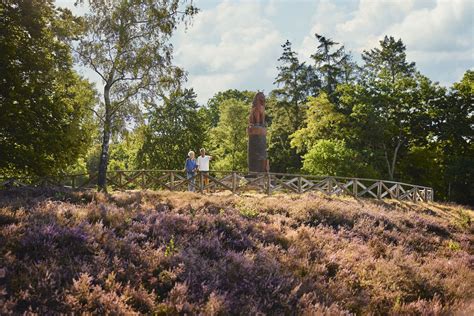 Wandelen Op De Lemelerberg Wandelroute Vechtdal Overijssel