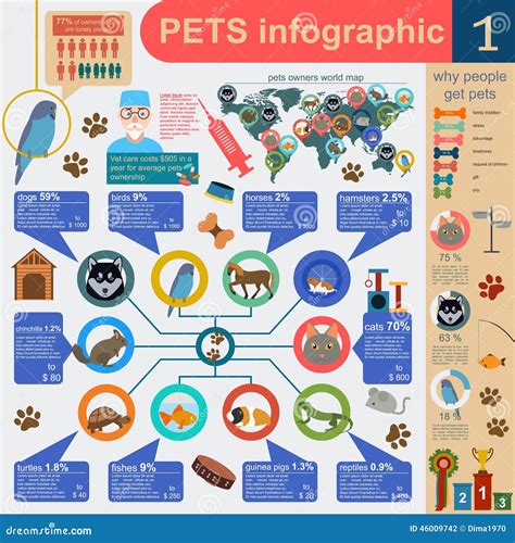 Domestic Pets Infographic Elements Helthcare Vet Stock Vector