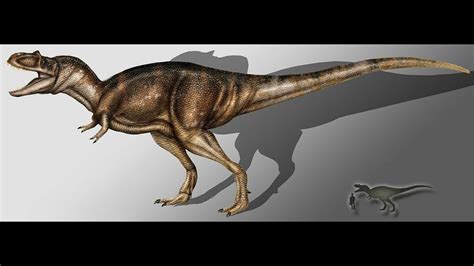 Albertosaurus/Paleo Profile - YouTube