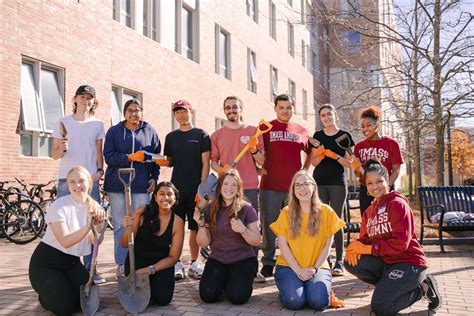 Daffodil Planting Umass Commonwealth Honors College Flickr