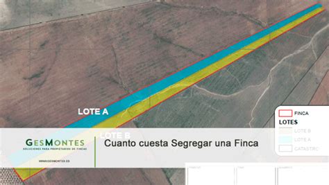 Cuanto Cuesta Segregar Una Finca Un Precio Justo