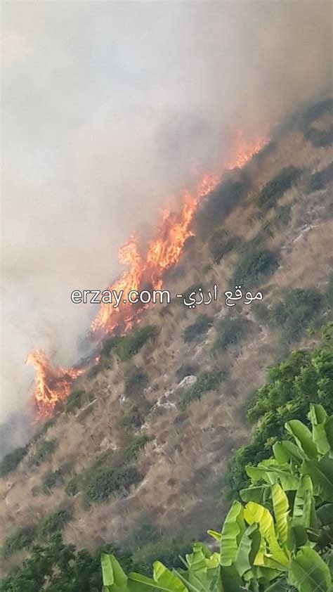 بالصور إخماد الحريق الذي اندلع في الجبل المحاذي لطريق النهر في ارزي