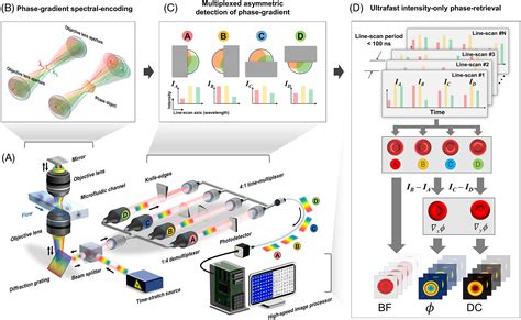 Multiatom Ultrahighthroughput Singlecell Quantitative Phase Imaging