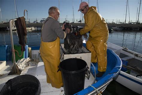 Fotos La Pesca De La Anguila En La Región De Murcia En Imágenes La